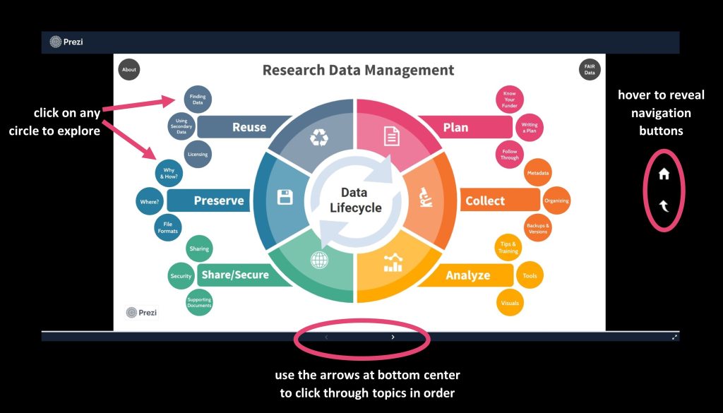 Screen capture of the Research Data Managment Lifecycle Prezi, which centers on a cycle diagram with the following six stages proceeding clockwise from top right: plan, collect, analyze, share/secure, preserve, and reuse. Each of the six stages is surrounded by three circles representing subtopics. Annotations indicate how to navigate the Prezi. Click on any subtopic to explore more information, or use the left and right arrows at the bottom center to click through the topics in order. Hover on the right margin to reveal two navigation buttons: home and up arrow.